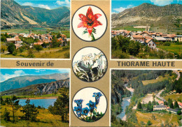  04 -  SOUVENIR DE THORAME HAUTE - MULTIVUES - Andere & Zonder Classificatie