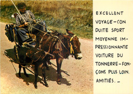   ANIMAUX - ANES - EXCELLENT VOYAGE - Donkeys