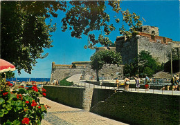   66 - COLLIOURE -  LE CHATEAU DES TEMPLIERS - Collioure