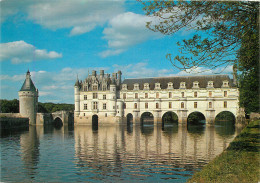  37 - CHENONCEAU - Chenonceaux