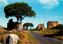  ROMA - APPIA ANTICA - Other & Unclassified
