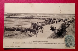 44 - PRESQU'ÎLE CROISICAISE - A TRAVERS LES MARAIS SALANTS ... - Autres & Non Classés