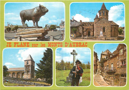  12 -  JE FLANE SUR LES MONTS D'AUBRAC - Autres & Non Classés