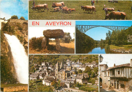  12 -  EN AVEYRON - MULTIVUES - Andere & Zonder Classificatie