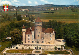  74 - ENVIRONS D'ANNECY - CHATEAU DE MONTROTTIER - Annecy