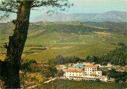  66 -  TAUTAVEL - AUBERGE DE L'ALZINE ET SA PISCINE - VUE PANORAMIQUE - Autres & Non Classés