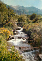  63 -  LA DORDOGNE AU SANCY - L'AUVERGNE TOURISTIQUE - Sonstige & Ohne Zuordnung