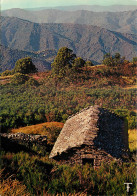 48 -  CEVENNES - COL DE L'ESPINAS - Autres & Non Classés