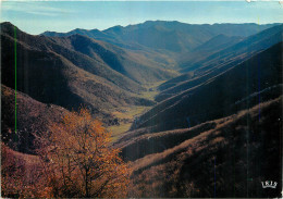 48 - LOZERE - PAYSAGE DES CEVENNES - Andere & Zonder Classificatie