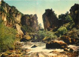 48 - GORGES DU TARN - LE PAS DE SOUCY - Gorges Du Tarn