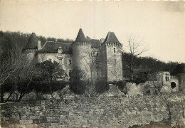 46 - FIGEAC - CHATEAU DE CEINT D'EAU - Figeac