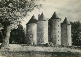 19 - CHATEAU DE PIERREFITE - Altri & Non Classificati