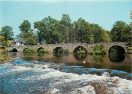 19 - LE PONT DU SAILLANT - Altri & Non Classificati