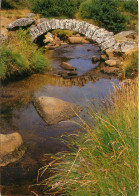 19 - PONT ROMAIN DE SENOUEIX - Autres & Non Classés