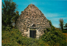 15 - CURIEUSE CABANE DE PIERRE - Andere & Zonder Classificatie