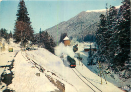 15 - LE COL DU LIORAN - LA GARE - Andere & Zonder Classificatie