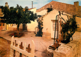 17 - ILE D'OLERON - MAISON TYPIQUE - Ile D'Oléron