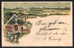 Lithographie Bachtel, Gasthaus Bachtel Mit Aussichtsturm Aus Der Vogelschau, Bergpanorama Mit Glärnisch  - Sonstige & Ohne Zuordnung