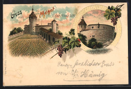 Lithographie Schaffhausen, Burg Munot  - Autres & Non Classés