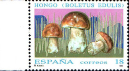 Espagne Poste N** Yv:2872/2875 Champignons Bord De Feuille - Unused Stamps