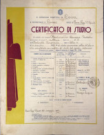 Certificato Di Studio 1943 Mf.010 - Documents Historiques