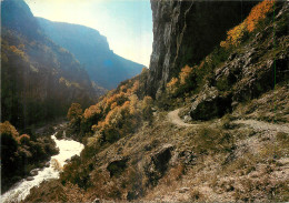 04 -  LES GORGES DU VERDON - COULOIR SAMSON - Autres & Non Classés