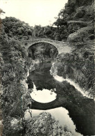 07 - THUEYTS - PONT DU DIABLE - Autres & Non Classés