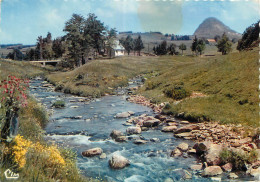 07 - SOURCE DE LA LOIRE - MONT GERBIER DE JONC - Other & Unclassified