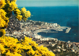 83 - SAINTE MAXIME - Sainte-Maxime