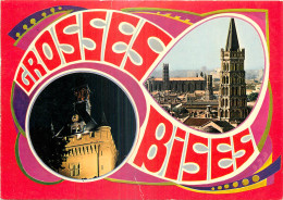 31 - TOULOUSE - GROSSES BISES - Toulouse