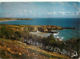 29 - TELGRUC SUR MER - LES PLAGES DE TREZ BIHAN - Otros & Sin Clasificación