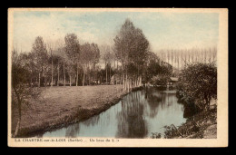 72 - LA CHARTRE-SUR-LE-LOIR - UN BRAS DU LOIR - Grönland