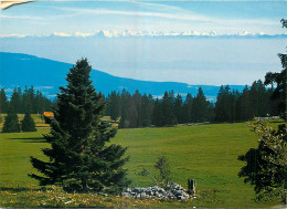 04 - LA VUE DES ALPES - Andere & Zonder Classificatie