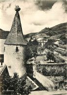 68 - RIBEAUVILLE  - Ribeauvillé