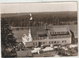 LD61 : Suisse  : Hôhenlufkurort  Wart  , Pension Haus Schonblick - Other & Unclassified