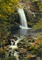 19 - CASCADE DU MUREL - Sonstige & Ohne Zuordnung