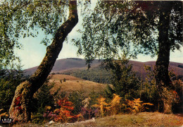 19 - EN CORREZE - LES MONEDIERES - Autres & Non Classés