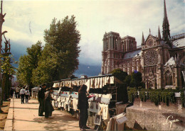 75 - PARIS - NOTRE DAME ET LES BOUQUINISTES - Notre Dame De Paris