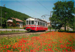 SUISSE - LIGNE AIGLE - OLLON - MONTHEY - CHAMPERY  - Otros & Sin Clasificación