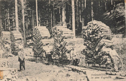 HOLZSCHLITTER  In Den Vogesen. - Sonstige & Ohne Zuordnung