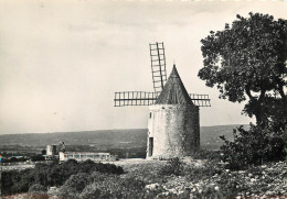 13 - MOULIN DE DAUDET - Sonstige & Ohne Zuordnung