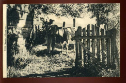 55 - VOID - CONTRE-JOUR - AGRICULTURE - VACHE - EDITEUR DETREY, BURALISTE - Altri & Non Classificati