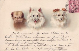 LES 3 CHIENS - Honden