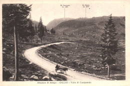 CAMPOMULO VALLEY, VENETO, CART, HORSE, MOUNTAIN, ITALY, POSTCARD - Andere & Zonder Classificatie