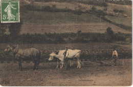 FR LA VIE AUX CHAMPS - ELD - Toilée Colorisée - Les Laboureurs - Animée - Belle - Landbouw