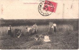 FR LA VIE AUX CHAMPS - La Vie Champêtre - Les Moissons - Animée - Belle - Cultivation