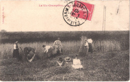 FR LA VIE AUX CHAMPS - La Vie Champêtre - Les Moissons - Animée - Belle - Culturas