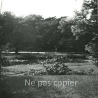 PARIS Vers 1960 JARDIN DES PLANTES PHOTO 14 X 14 Cm - Orte