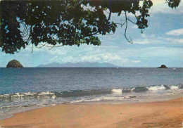 Martinique - Anse Céron - L'ilet La Perle Et La Dominique - CPM - Voir Scans Recto-Verso - Altri & Non Classificati