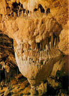 Spéléologie - Grottes De Vallorbe - La Méduse - Suisse - Switzerland - Potholing - Cave - CPM - Carte Neuve - Voir Scans - Autres & Non Classés
